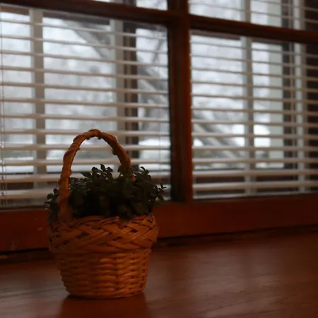 Appartement Cozy With A Sauna